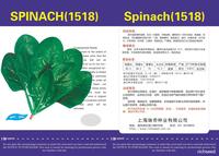 1518 Spinach