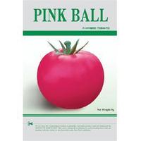 PINK-BALL Pink Fruit