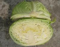 Dongshan Cabbage